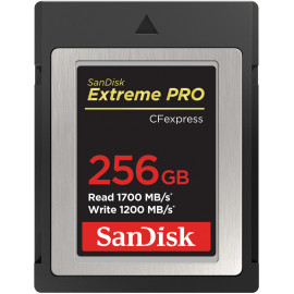 SanDisk SDCFE-256G-GN4NN cartão de memória 256 GB CFexpress