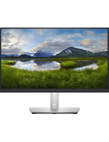 DELL P2222H 54,6 cm (21.5") 1920 x 1080 pixels Full HD LCD Preto, Prateado