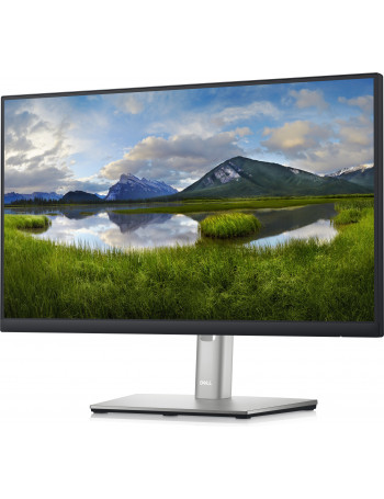 DELL P2222H 54,6 cm (21.5") 1920 x 1080 pixels Full HD LCD Preto, Prateado