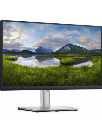 DELL P2222H 54,6 cm (21.5") 1920 x 1080 pixels Full HD LCD Preto, Prateado