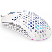 ENDORFY Mouse USB LIX OWH PMW3325 rato Ambidestro USB Type-C Ótico 8000 DPI