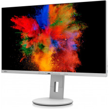 Fujitsu P2711 TE QHD monitor de ecrã 68,6 cm (27") 2560 x 1440 pixels Quad HD LED Cinzento