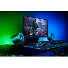 Razer Nommo V2 Pro altifalante Alto alcance Preto Com fios e sem fios