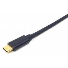 Equip 133427 adaptador de cabo de vídeo 2 m USB Type-C DisplayPort Cinzento