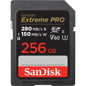 SanDisk SDSDXEP-256G-GN4IN cartão de memória 256 GB SDXC UHS-II Classe 10