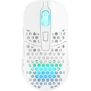 CHERRY XTRFY M42 RGB rato Jogos Ambidestro RF Wireless + USB Type-C Ótico 19000 DPI