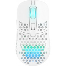 CHERRY XTRFY M42 RGB rato Jogos Ambidestro RF Wireless + USB Type-C Ótico 19000 DPI