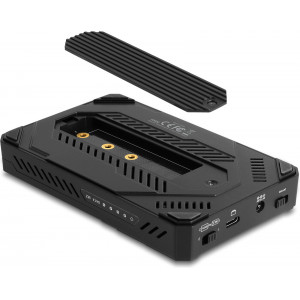 DeLOCK 42020 Caixa para Discos Rígidos Compartimento HDD SSD Preto 2.5"