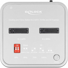 DeLOCK 64138 Docking Station para Discos Rígidos Prateado